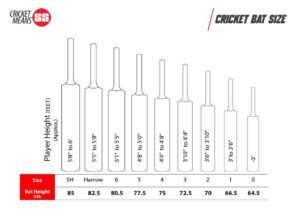 SS cricket size chart