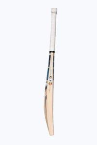 ss-world-cup-edition-blue-english-willow-cricket-bat-sh-4