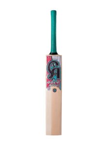 ca gold 3000 english willow cricket bat