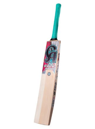 ca gold 3000 english willow cricket bat 4