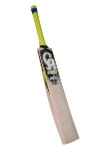 ca pro 8000 cricket bat