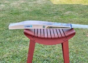 CA GOLD 20K Players Edition English Willow Cricket Bat SH - Actual in Stock Photos - Image 6