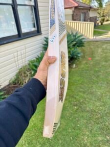 CA GOLD 20K Players Edition English Willow Cricket Bat SH - Actual in Stock Photos - Image 3