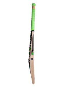 ca pro 15000 limited edition cricket bat