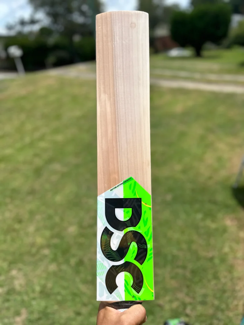 dsc players edition cricket bat