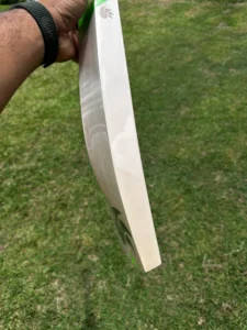 dsc players edition cricket bat 4
