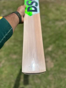 dsc players edition cricket bat 4