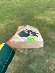 dsc players edition cricket bat 4