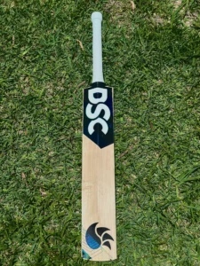 DSC Pro Player English Willow Cricket Bat SH 2.9 - Image 5