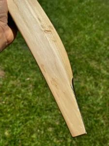 DSC Pro Player English Willow Cricket Bat SH 2.9 - Image 4