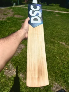 dsc pro cricket bat 43