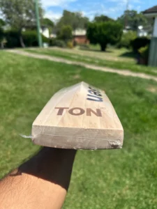 ss klassen blaster english willow cricket bat 1