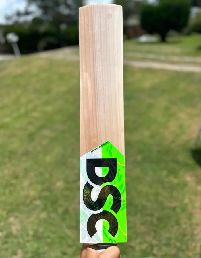 dsc players edition cricket bat